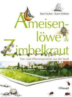 Ameisenlöwe und Zimbelkraut von Fischer,  Beat, Widmer,  Karin