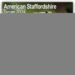 American Staffordshire Terrier 2024 – 16-Monatskalender