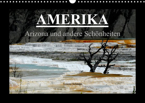 Amerika – Arizona und andere Schönheiten (Wandkalender 2023 DIN A3 quer) von Schaupp,  Simone