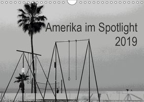 Amerika im Spotlight (Wandkalender 2019 DIN A4 quer) von Zannini,  Patrizia