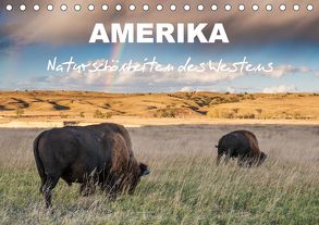 Amerika – Naturschönheiten des Westens (Tischkalender 2020 DIN A5 quer) von Heidorn,  Fabienne