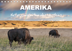 Amerika – Naturschönheiten des Westens (Tischkalender 2021 DIN A5 quer) von Heidorn,  Fabienne