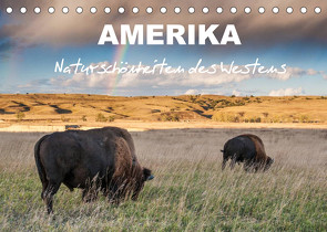 Amerika – Naturschönheiten des Westens (Tischkalender 2022 DIN A5 quer) von Heidorn,  Fabienne