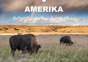 Amerika – Naturschönheiten des Westens (Wandkalender 2018 DIN A3 quer) von Heidorn,  Fabienne