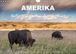 Amerika – Naturschönheiten des Westens (Wandkalender 2018 DIN A4 quer) von Heidorn,  Fabienne