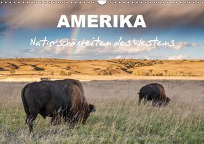 Amerika – Naturschönheiten des Westens (Wandkalender 2019 DIN A3 quer) von Heidorn,  Fabienne