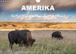 Amerika – Naturschönheiten des Westens (Wandkalender 2019 DIN A4 quer) von Heidorn,  Fabienne