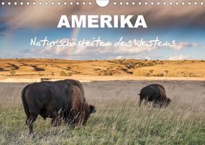 Amerika – Naturschönheiten des Westens (Wandkalender 2020 DIN A4 quer) von Heidorn,  Fabienne