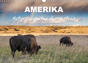 Amerika – Naturschönheiten des Westens (Wandkalender 2023 DIN A3 quer) von Heidorn,  Fabienne