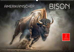 Amerikanischer Bison (Wandkalender 2024 DIN A2 quer) von Roder,  Peter