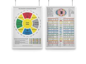 AMM & TCM Lehrtafel Jahreszeiten und Zähne von Uhrhan,  Michael