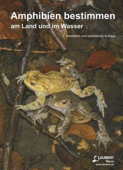 Amphibien bestimmen von Brandt,  Thomas, Franzen,  Michael, Göcking,  Christian, Hachtel,  Monika, Kordges,  Thomas, Menke,  Norbert, Schneeweiß,  Norbert, Schulte,  Ulrich, Schwartze,  Michael, Thiesmeier,  Burkhard, Uthleb,  Heiko, Weddeling,  Klaus