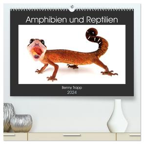 Amphibien und Reptilien (hochwertiger Premium Wandkalender 2024 DIN A2 quer), Kunstdruck in Hochglanz von Trapp,  Benny