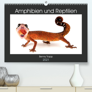 Amphibien und Reptilien (Premium, hochwertiger DIN A2 Wandkalender 2021, Kunstdruck in Hochglanz) von Trapp,  Benny