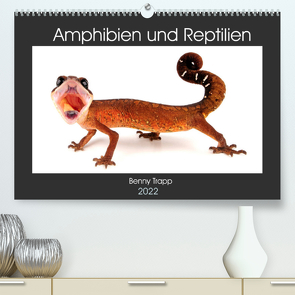 Amphibien und Reptilien (Premium, hochwertiger DIN A2 Wandkalender 2022, Kunstdruck in Hochglanz) von Trapp,  Benny