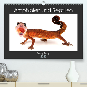 Amphibien und Reptilien (Premium, hochwertiger DIN A2 Wandkalender 2023, Kunstdruck in Hochglanz) von Trapp,  Benny