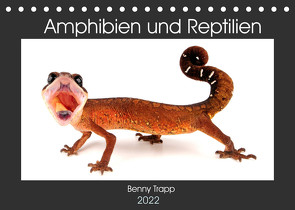 Amphibien und Reptilien (Tischkalender 2022 DIN A5 quer) von Trapp,  Benny