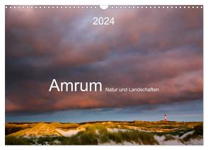 Amrum. Natur und Landschaften (Wandkalender 2024 DIN A3 quer), CALVENDO Monatskalender von Koch,  Lucyna