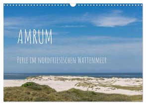 Amrum – Perle im nordfriesischen Wattenmeer (Wandkalender 2024 DIN A3 quer), CALVENDO Monatskalender von Simone Flach,  Sandra