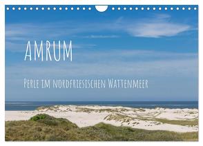 Amrum – Perle im nordfriesischen Wattenmeer (Wandkalender 2024 DIN A4 quer), CALVENDO Monatskalender von Simone Flach,  Sandra