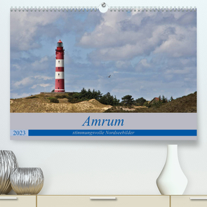 Amrum – stimmungsvolle Nordseebilder (Premium, hochwertiger DIN A2 Wandkalender 2023, Kunstdruck in Hochglanz) von Potratz,  Andrea