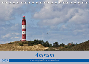 Amrum – stimmungsvolle Nordseebilder (Tischkalender 2023 DIN A5 quer) von Potratz,  Andrea