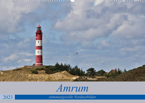 Amrum – stimmungsvolle Nordseebilder (Wandkalender 2023 DIN A2 quer) von Potratz,  Andrea
