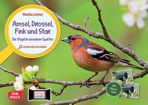 Amsel, Drossel, Fink und Star. Die Vögel in unserem Garten. Kamishibai Bildkarten und Memo-Spiel von Lehner,  Monika