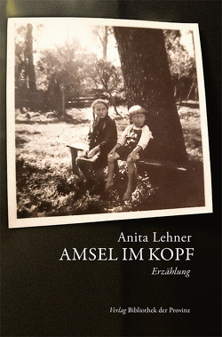 Amsel im Kopf von Lehner,  Anita