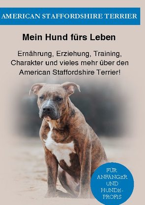 Amstaff von Ratgeber,  Mein Hund fürs Leben