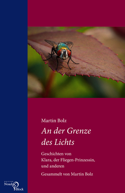 An der Grenze des Lichts von Bolz,  Martin