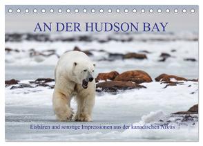 AN DER HUDSON BAY (Tischkalender 2024 DIN A5 quer), CALVENDO Monatskalender von Junio,  Michele