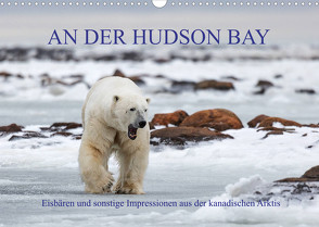 AN DER HUDSON BAY (Wandkalender 2023 DIN A3 quer) von Junio,  Michele
