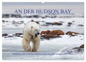 AN DER HUDSON BAY (Wandkalender 2024 DIN A2 quer), CALVENDO Monatskalender von Junio,  Michele