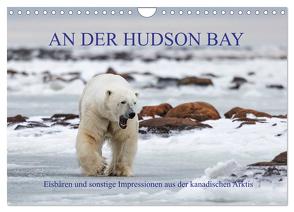 AN DER HUDSON BAY (Wandkalender 2024 DIN A4 quer), CALVENDO Monatskalender von Junio,  Michele