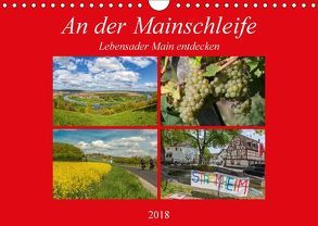 An der Mainschleife – Lebensader Main entdecken (Wandkalender 2018 DIN A4 quer) von Will,  Hans