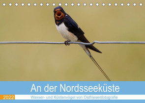 An der Nordseeküste – Wasser- und Küstenvögel fotografiert von Ostfriesenfotografie (Tischkalender 2022 DIN A5 quer) von Betten - Ostfriesenfotografie,  Christina