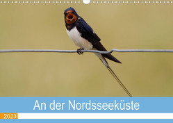 An der Nordseeküste – Wasser- und Küstenvögel fotografiert von Ostfriesenfotografie (Wandkalender 2023 DIN A3 quer) von Betten - Ostfriesenfotografie,  Christina