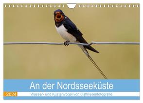 An der Nordseeküste – Wasser- und Küstenvögel fotografiert von Ostfriesenfotografie (Wandkalender 2024 DIN A4 quer), CALVENDO Monatskalender von Betten - Ostfriesenfotografie,  Christina