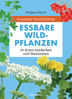 Anaconda Taschenführer Essbare Wildpflanzen. 70 Arten bestimmen und entdecken. – von Herzog,  Lise, Peyrot,  Morgane, Zuber,  Ilona