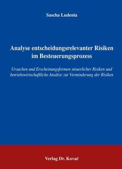 Analyse entscheidungsrelevanter Risiken im Besteuerungsprozess von Ludenia,  Sascha