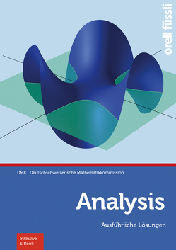 Analysis – Ausführliche Lösungen von Dzung Wong,  Baoswan, Schmid,  Marco, Sourlier-Künzle,  Regula, Stocker,  Hansjürg, Weibel,  Reto