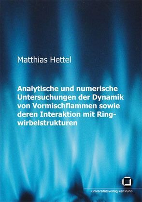 Analytische und numerische Untersuchungen der Dynamik von Vormischflammen sowie deren Interaktion mit Ringwirbelstrukturen von Hettel,  Matthias