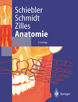 Anatomie von Schiebler,  Theodor H, Schmidt,  Walter, Zilles,  Karl