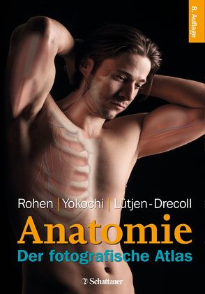 Anatomie des Menschen von Lütjen-Drecoll,  Elke, Rohen,  Johannes W, Yokochi,  Chihiro M.D.