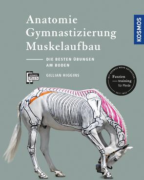 Anatomie, Gymnastizierung, Muskelaufbau von Higgins,  Gillian