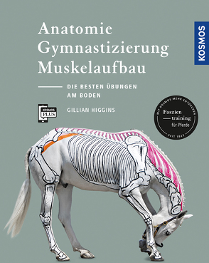 Anatomie, Gymnastizierung, Muskelaufbau von Higgins,  Gillian