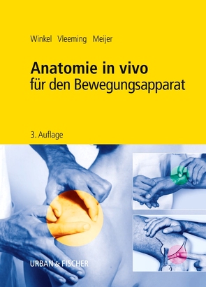 Anatomie in vivo für den Bewegungsapparat von Meijer,  Onno, Vleeming,  Andry, Winkel,  Dos