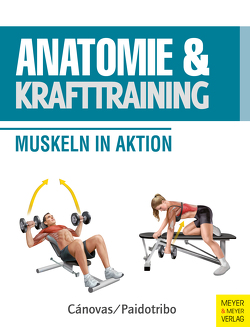 Anatomie und Krafttraining (Anatomie & Sport, Band 1) von Cánovas,  Ricardo, Paidotribo