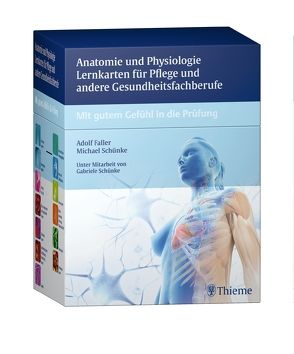 Anatomie und Physiologie Lernkarten für Pflege und andere Gesundheitsfachberufe von Faller,  Adolf, Schünke,  Michael